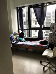 River Isles (D19), Condominium #556813781